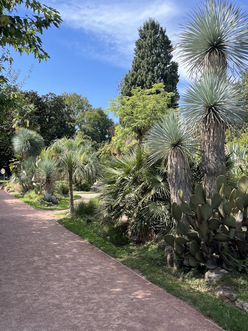 <img alt="" src="/images/9/e/d/c/a/9edcaffe0c78b1f891fe2117b8be963d4ee1d224-parc-de-la-tete-dor-lyon.jpg" />