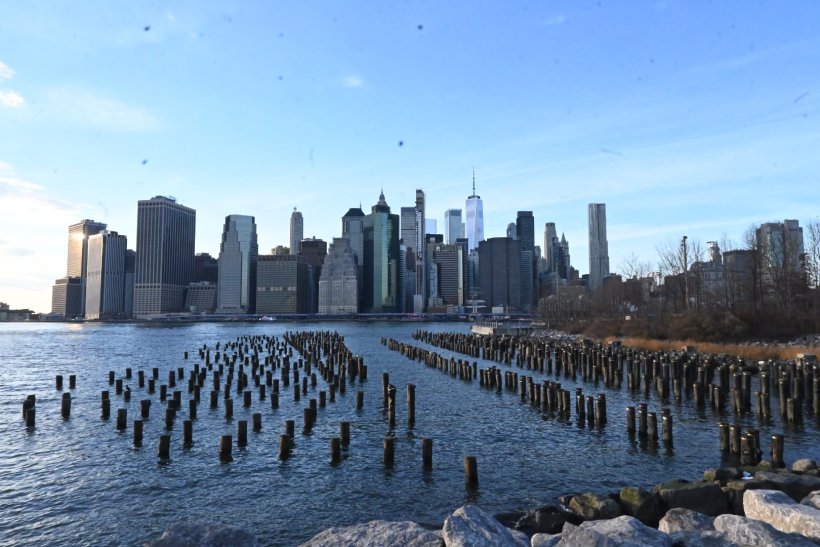 <img alt="" src="/images/7/b/f/0/f/7bf0fb632b6b5b08c4908786fafbb3781ccf2232-brooklyn-04.jpeg" />