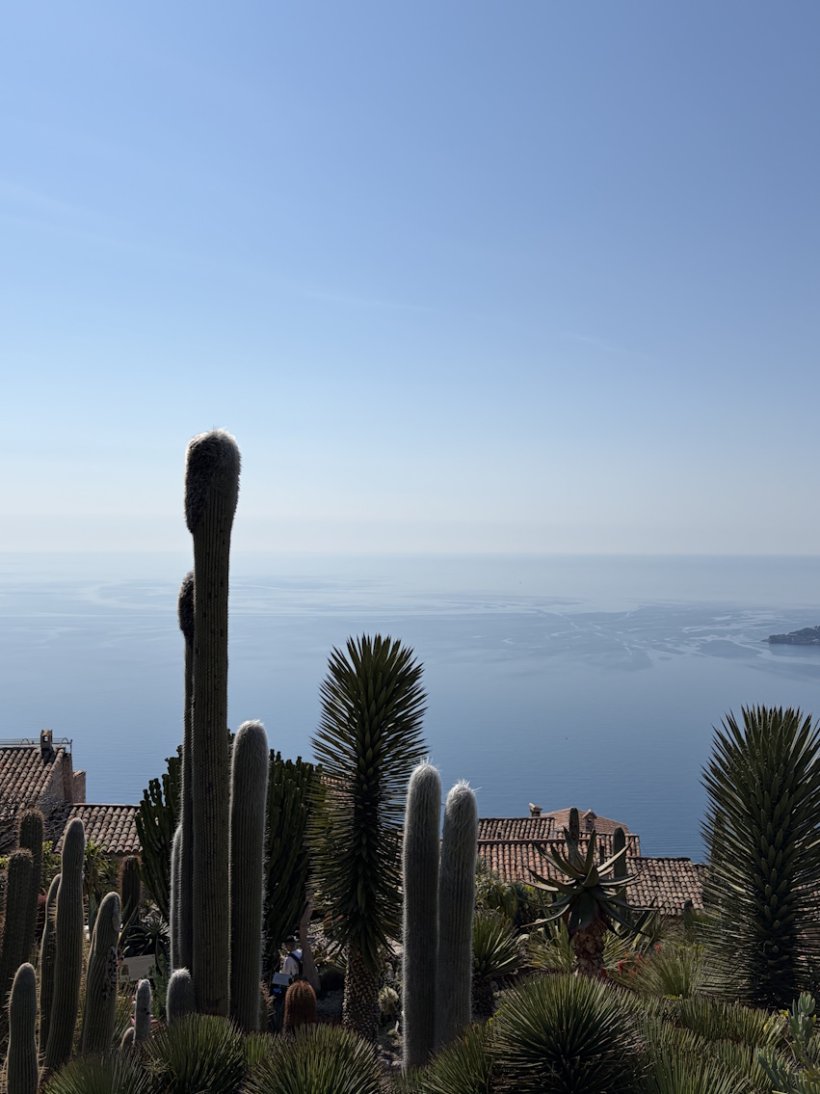 <img alt="" src="/images/5/0/d/2/2/50d22fcf130b5e9af041bfae068e1332d16856e6-jardin-botanique-eze.jpg" />