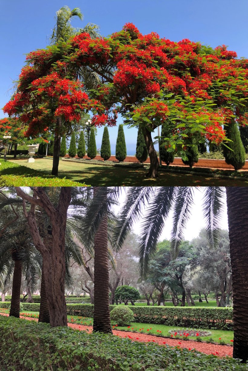 <img alt="" src="/images/2/2/9/8/9/2298945a24591f1701ee99e372a409d39ed75b31-holy-bahai-gardens-haifa.jpg" />