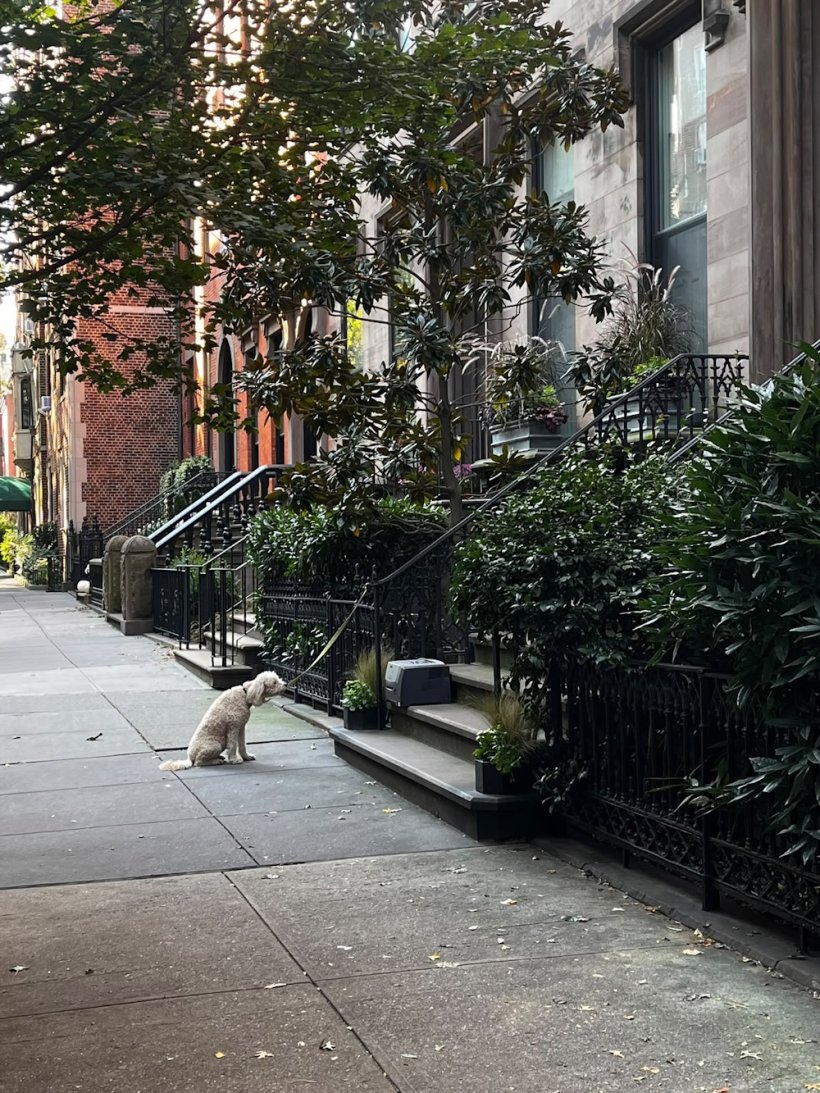 <img alt="" src="/images/9/6/3/6/9/963690d8a88b1c75b2c62c6e6bc3e952fbb899a1-brooklyn-06.jpeg" />