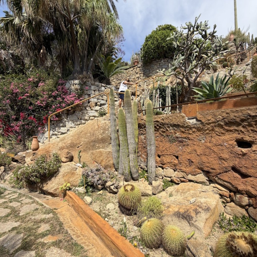 Jardin exotique de Pallanca à Bordighera