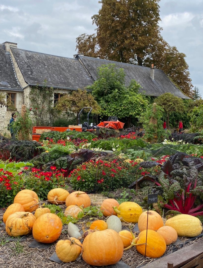 <img alt="" src="/images/2/9/5/b/3/295b3364f135f35e4a191bd918731d7b1eb9d4b0-jardin-chateau-du-rivault.jpg" />